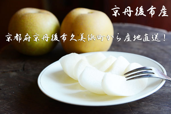 二十世紀 梨 京たんご産 5キロ 10-16個 贈答用 ギフト