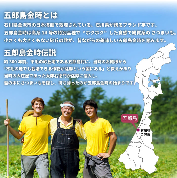 さつまいも 加賀野菜 甘い 五郎島金時 おすすめ 贈答用 