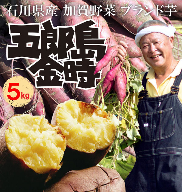 さつまいも 加賀野菜 甘い 五郎島金時 おすすめ 贈答用 