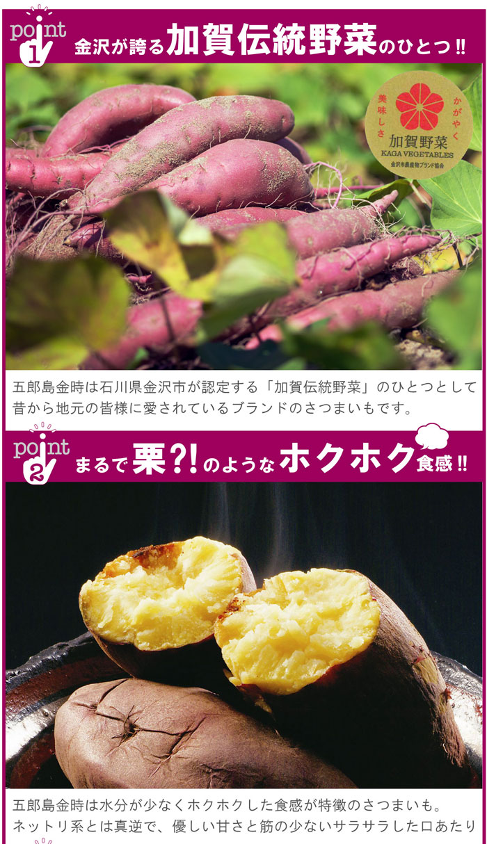 さつまいも 加賀野菜 甘い 五郎島金時 おすすめ 贈答用 