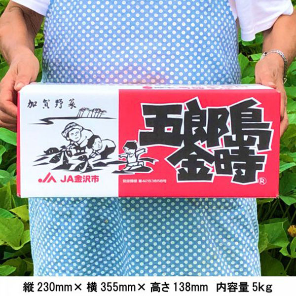さつまいも 加賀野菜 甘い 五郎島金時 おすすめ 贈答用 