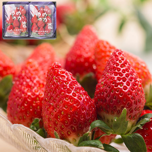 いちご ゆめのか 長崎産 ２５０ｇ ２p レギュラーパック いちごフェアー 送料無料 離島 沖縄 北海道は配送不可 ギフト広場 通販 Paypayモール