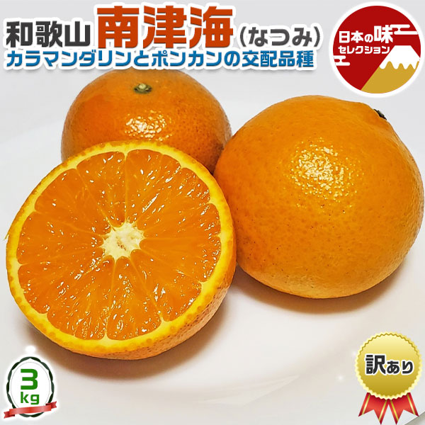 mmf-mikan-202.jpg