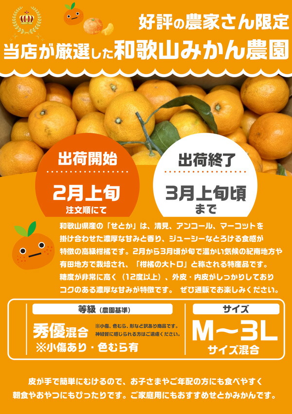 和歌山県有田産 せとか（優）（L・M）混合 約5kg 5kg みかん せとか