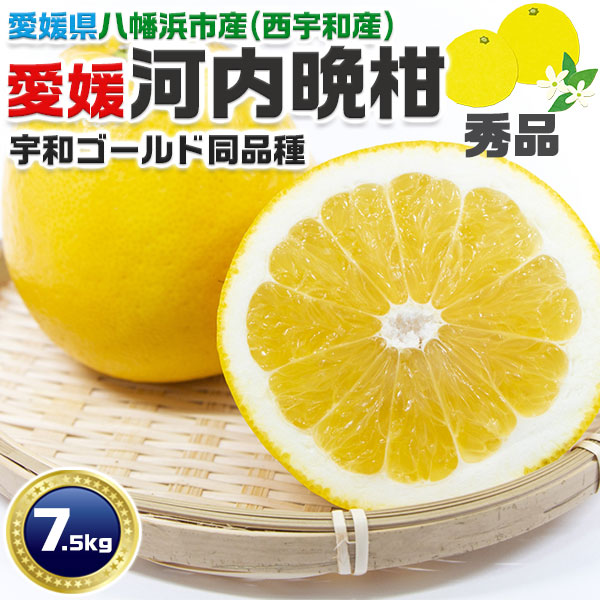 愛媛県産　宇和ゴールド　嵐ゴールド　河内晩柑　柑橘　15kg 愛媛県産 宇和ゴールド 河内晩柑 柑橘 15kg - 果物オンライン