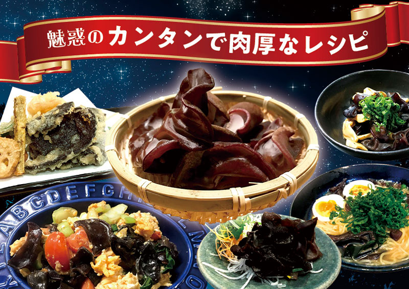 生きくらげ　500g｜梅田の 肉厚 きくらげ　家庭用　大阪梅田産