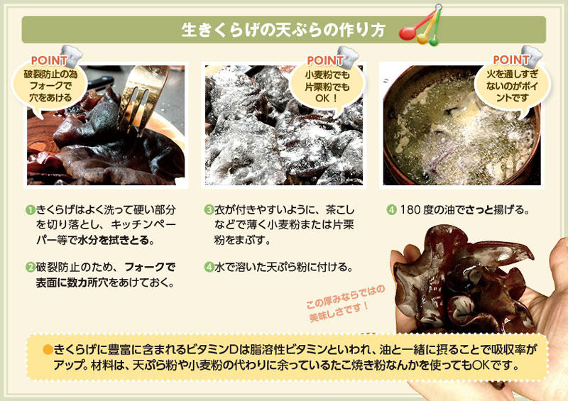 生きくらげ　500g｜梅田の 肉厚 きくらげ　家庭用　大阪梅田産