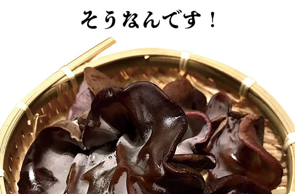 生きくらげ　500g｜梅田の 肉厚 きくらげ　家庭用　大阪梅田産