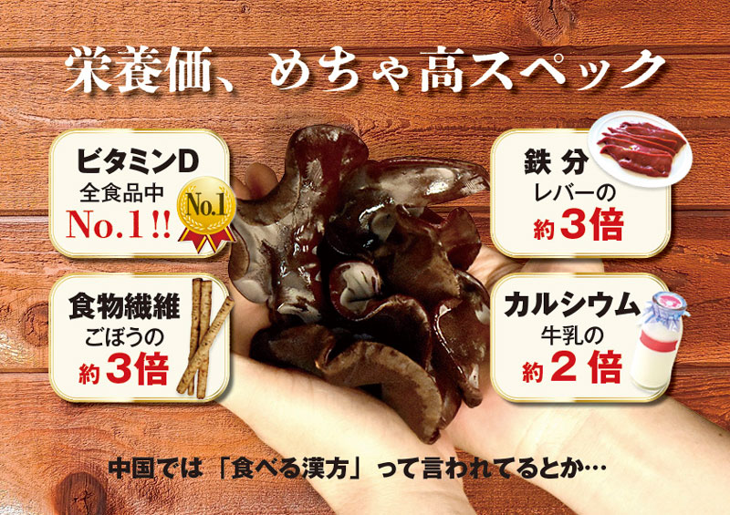 生きくらげ　500g｜梅田の 肉厚 きくらげ　家庭用　大阪梅田産