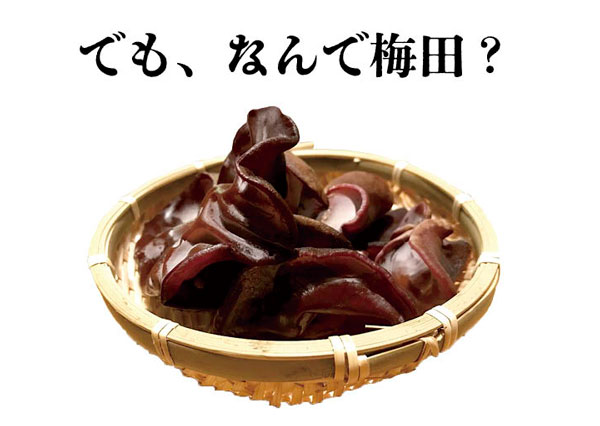 生きくらげ　1kg｜梅田の 肉厚 きくらげ　家庭用　大阪梅田産