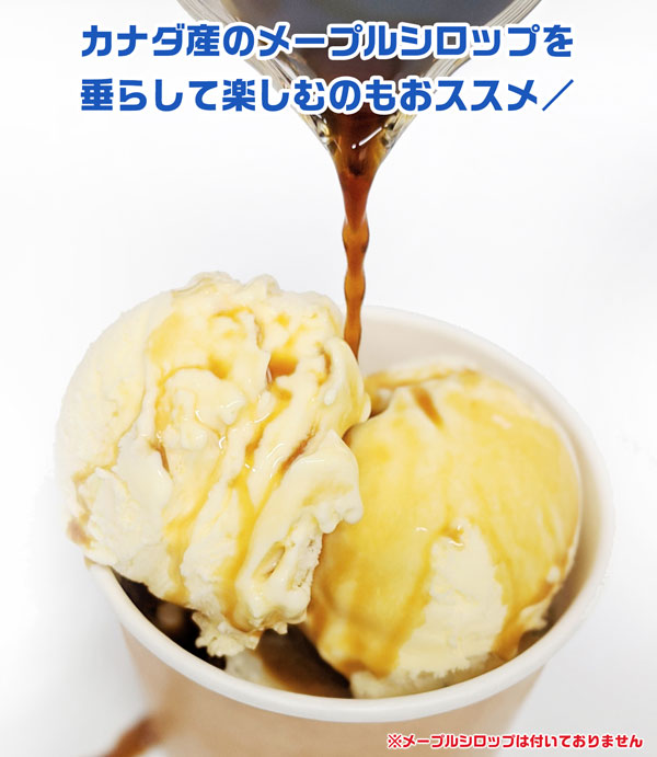 アップルマンゴー 台湾 マンゴー 高糖度 フルーツ