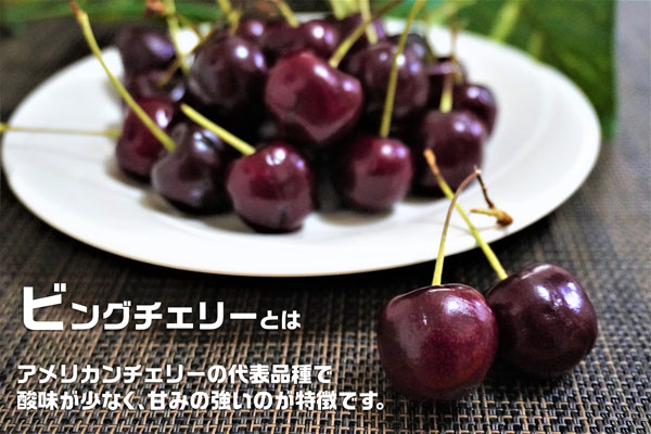 アメリカンチェリー　カリフォルニア州産　ダークチェリー　大粒【1kg】高級・特選アメリカンチェリー