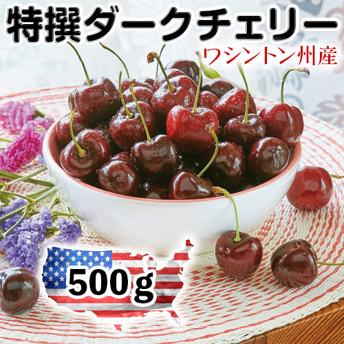 アメリカンチェリー ダークチェリー ワシントン州産 500g  お試し