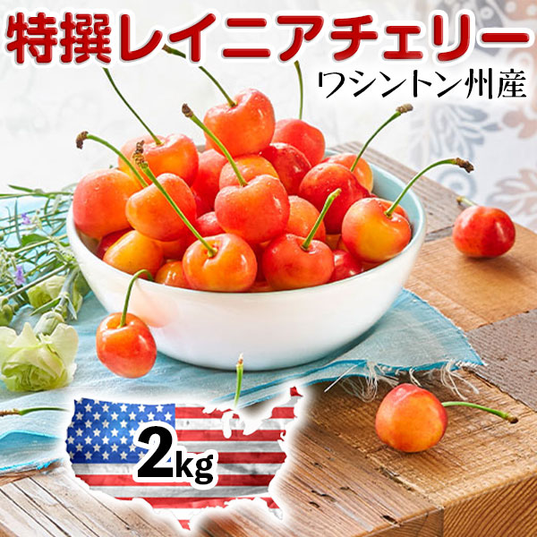 アメリカンチェリー レイニアチェリー ワシントン州産 1.0kg