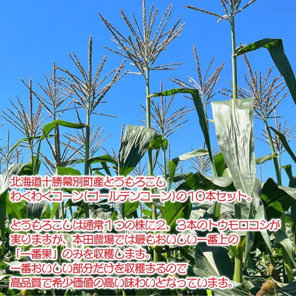 北海道 十勝 幕別町産 とうもろこし　わくわくコーン(ゴールデンコーン)10本×2箱(合計20本)