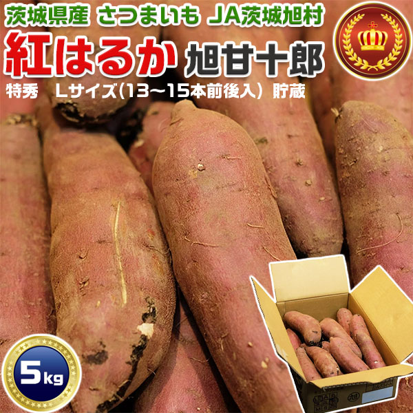 さつまいも　紅はるか　特秀　Lサイズ　約5kg (13〜15本前後入) 