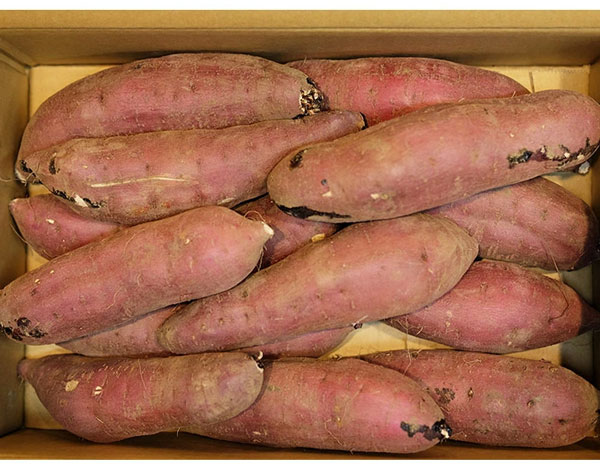 さつまいも　紅はるか　特秀　Mサイズ　約5kg (18〜20本前後入) 