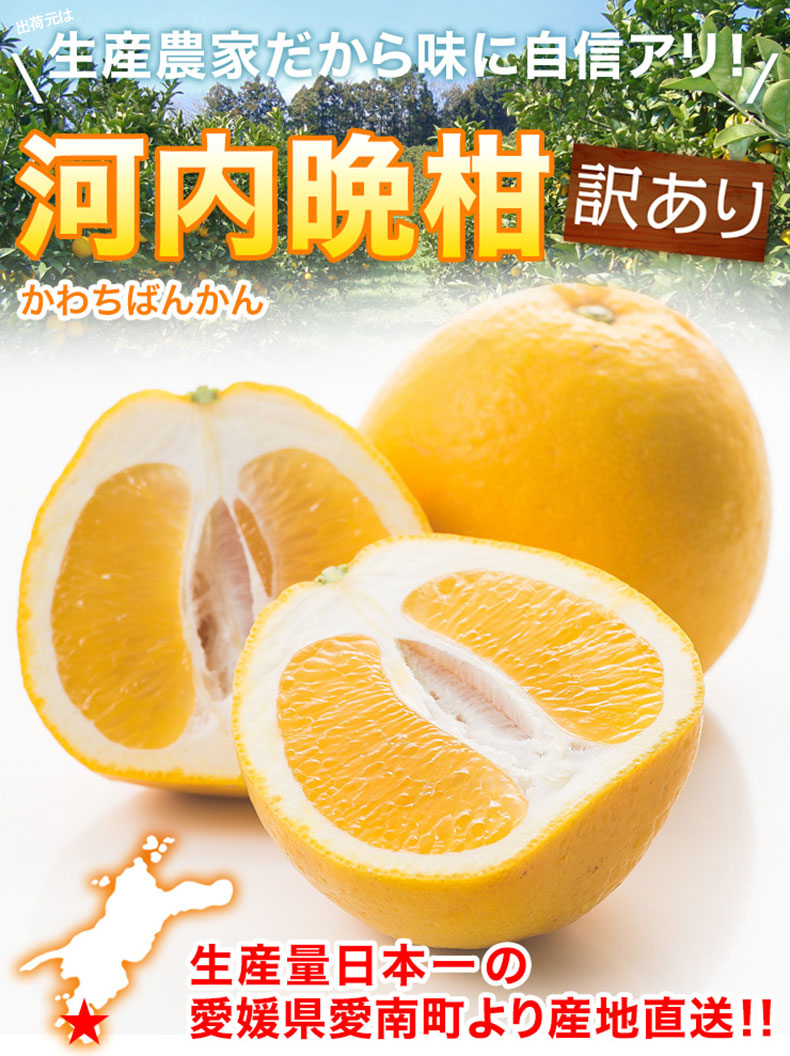 河内晩柑 宇和ゴールド