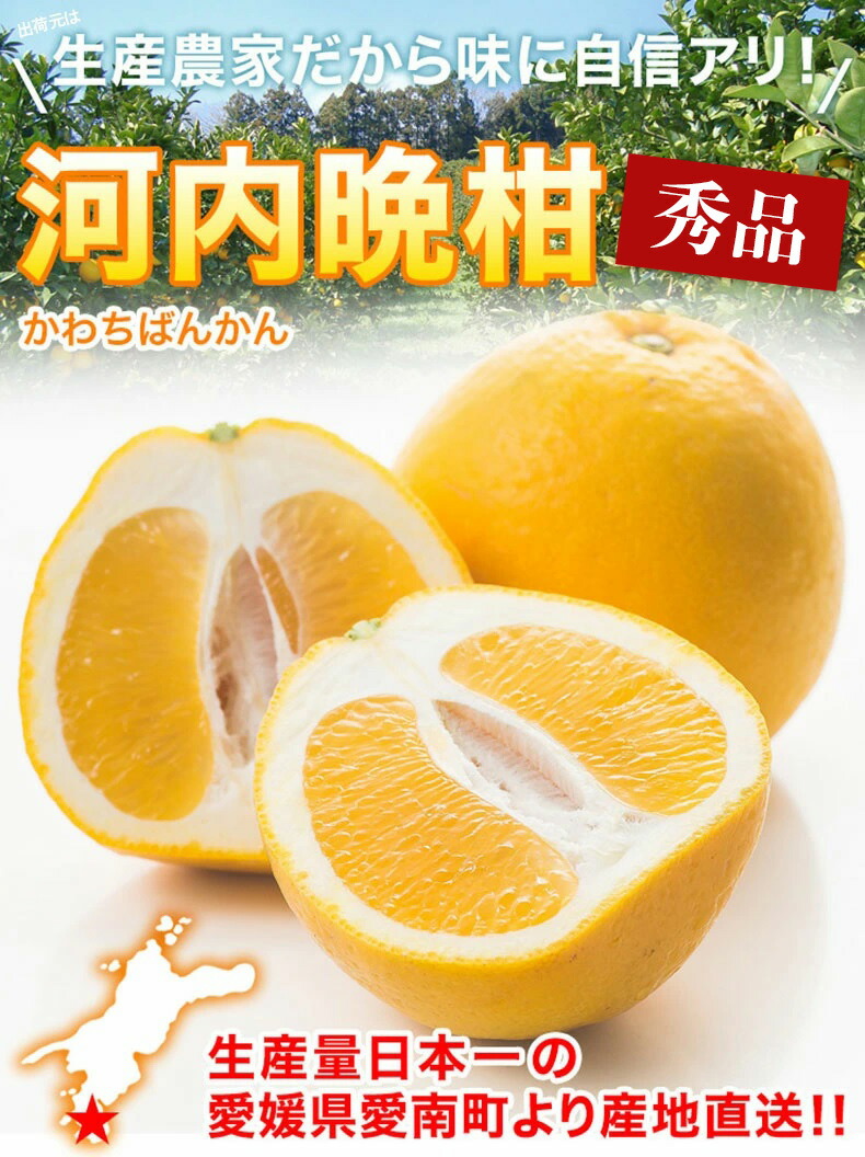 河内晩柑 宇和ゴールド