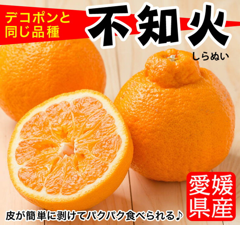 不知火 秀品