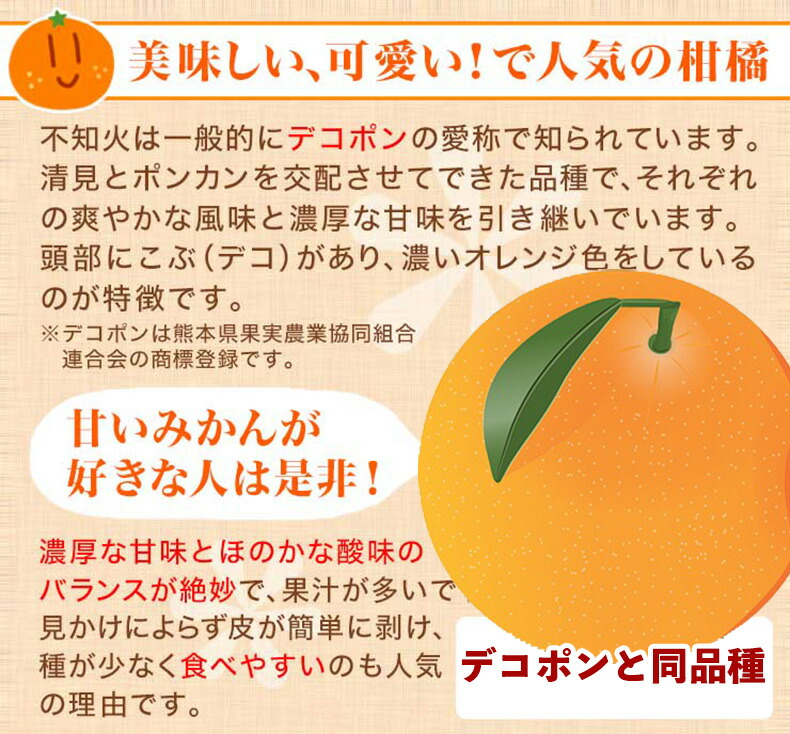 不知火 秀品