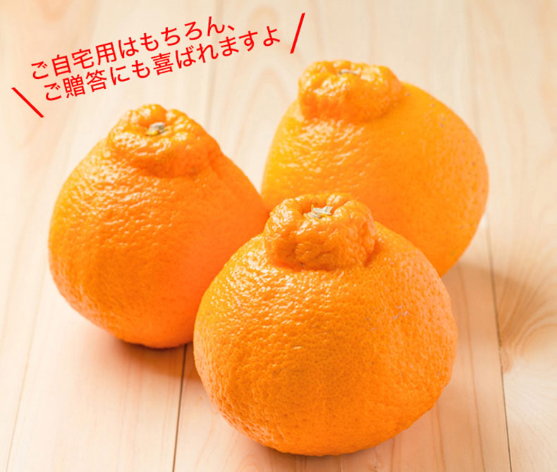 不知火 秀品