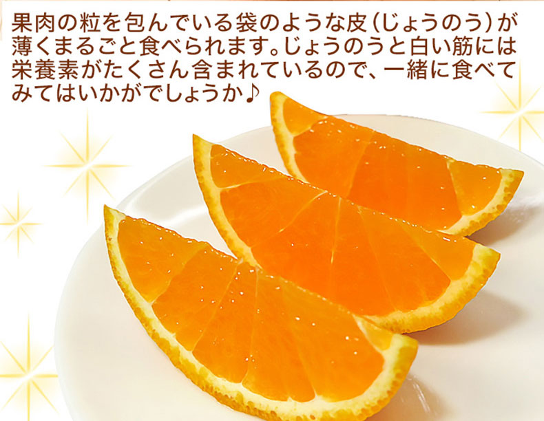 不知火 秀品