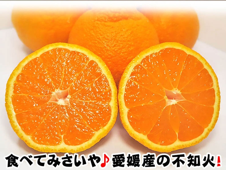 不知火 秀品