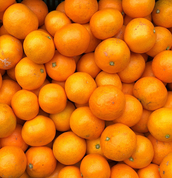 小玉・愛媛みかん　訳あり　5kg　小玉 2S〜S