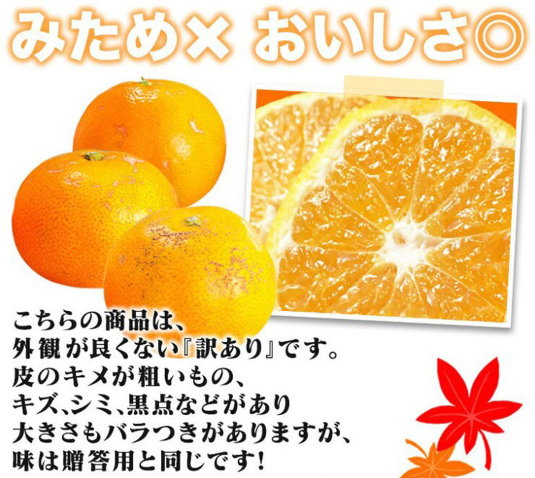 愛媛 みかん　訳あり　箱買い　5kg