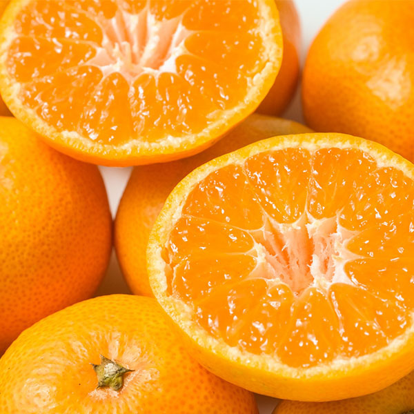 愛媛 みかん　訳あり　箱買い　5kg