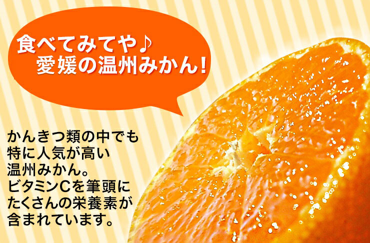 愛媛 みかん　訳あり　箱買い　5kg