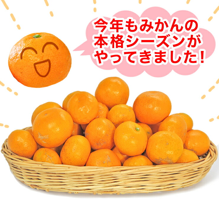 愛媛 みかん　訳あり　箱買い　5kg