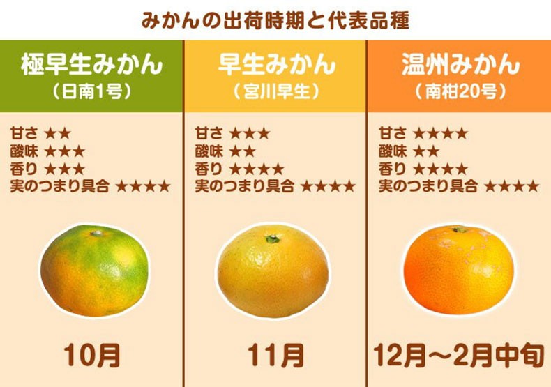 愛媛 みかん　訳あり　箱買い　5kg