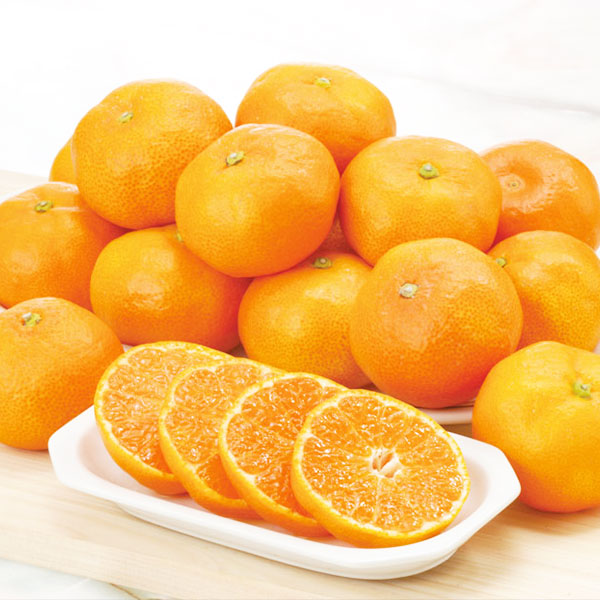 愛媛 みかん　訳あり　箱買い　5kg