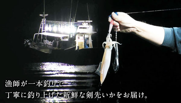 呼子のイカ 呼子 剣先いか 姿造り（S1サイズ）× 合計1P