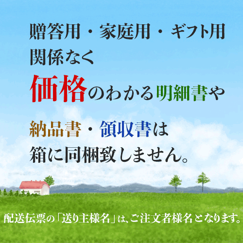 呼子のイカ 呼子 剣先いか 姿造り（S1サイズ）× 合計5P