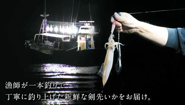 呼子のイカ 呼子 剣先いか 姿造り（S1サイズ）× 合計1P