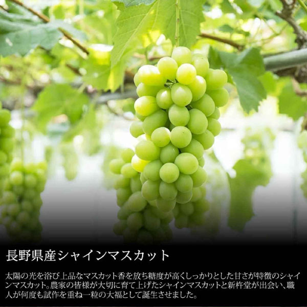 まるごと シリーズ 大福 みかん シャインマスカット