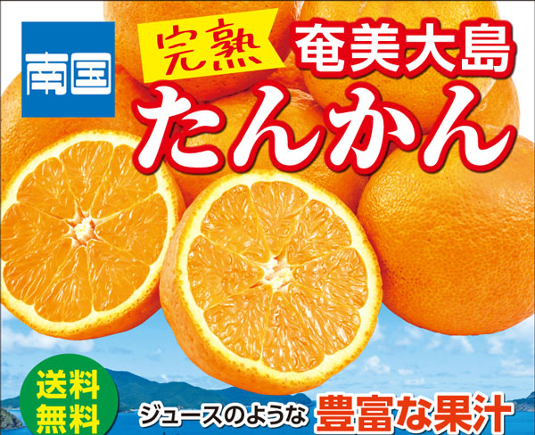 奄美 たんかん みかん 訳あり 10kg 完熟 家庭用 規格外 奄美大島産