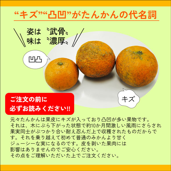 ★奄美大島産★2/2より順次発送　　　　　奄美の完熟たんかん　10キロ 奄美の雫「かんちゃなたんかん」ご家庭用10kg・40~60玉 | kanchanafarm