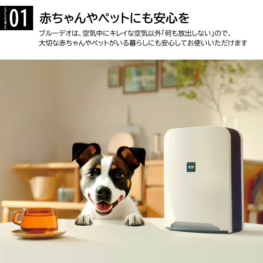 ブルーデオ FUJICO 空気清浄機 空清8畳
