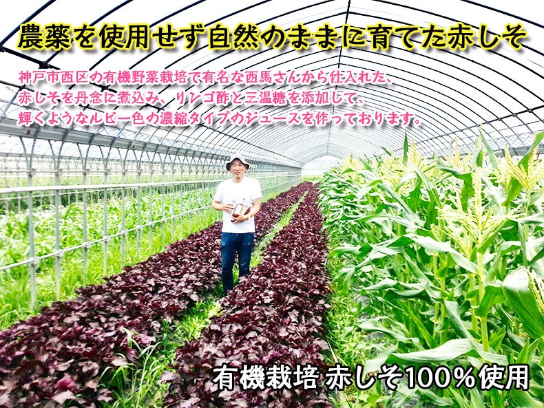 須磨のむらさき・しそジュース2