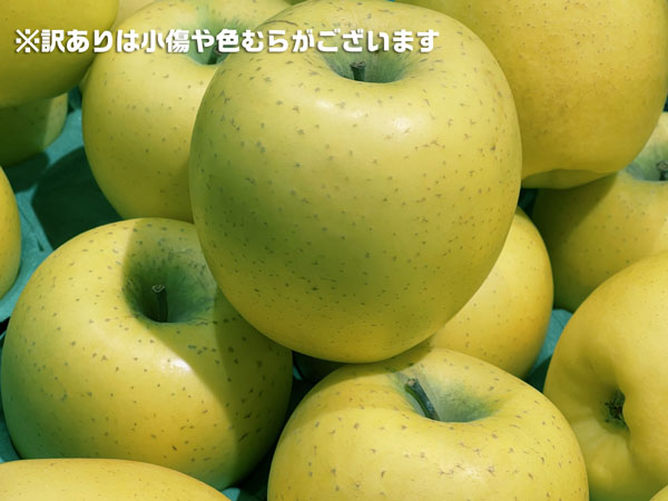 青森りんご シナノゴールド 訳あり 家庭用 5kg 林檎【青森県産】アウトレット品お買得