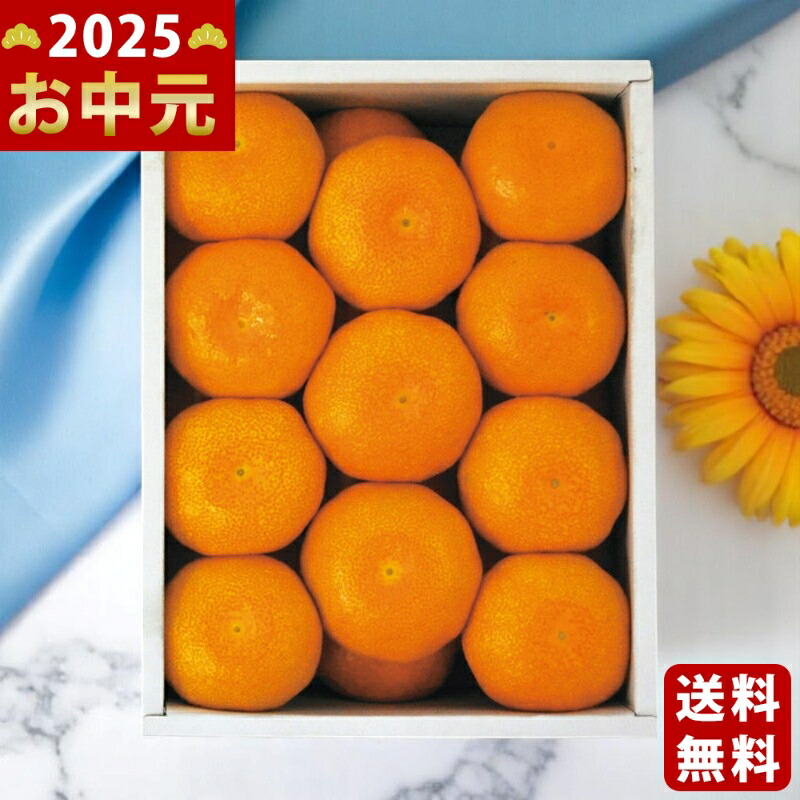 Yahoo! Yahoo!ショッピング(ヤフー ショッピング)佐賀県産 JAグループ佐賀 温室みかん（1.5kg）《2025年 お中元専用商品 7/3〜8/12お届け予定（日時指定不可） 直送便》