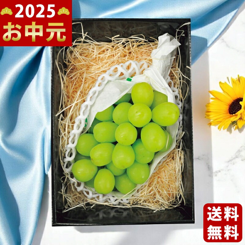 Yahoo! Yahoo!ショッピング(ヤフー ショッピング)国産 シャインマスカット（1房）《2025年 お中元専用商品 7/3〜8/12お届け予定（日時指定不可） 冷蔵 直送便》
