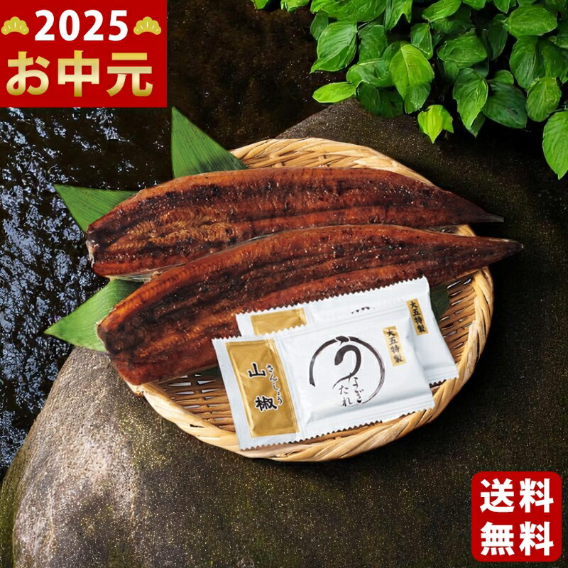 Yahoo! Yahoo!ショッピング(ヤフー ショッピング)静岡産 炙りうなぎ蒲焼き（2尾）《2025年 お中元専用商品 6月下旬よりお届け予定 冷凍 直送便》