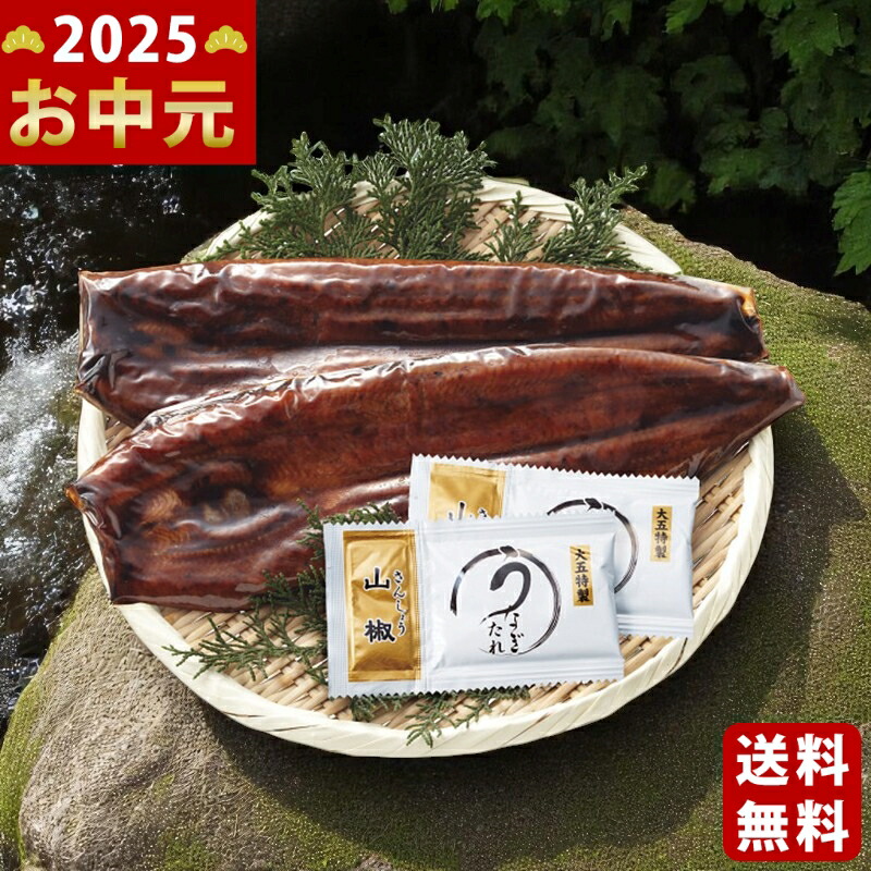 Yahoo! Yahoo!ショッピング(ヤフー ショッピング)浜名湖産うなぎ使用 炙りうなぎ蒲焼（2尾）《2025年 お中元専用商品 6月下旬よりお届け予定 冷凍 直送便》