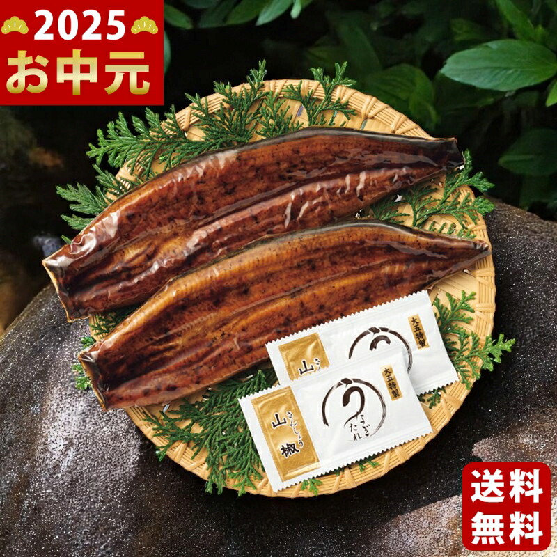 Yahoo! Yahoo!ショッピング(ヤフー ショッピング)阿蘇夢鰻使用 熊本県産うなぎの蒲焼（2尾）《2025年 お中元専用商品 7月上旬よりお届け予定 冷凍 直送便》