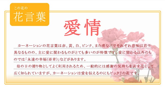 カーネーションの花言葉
